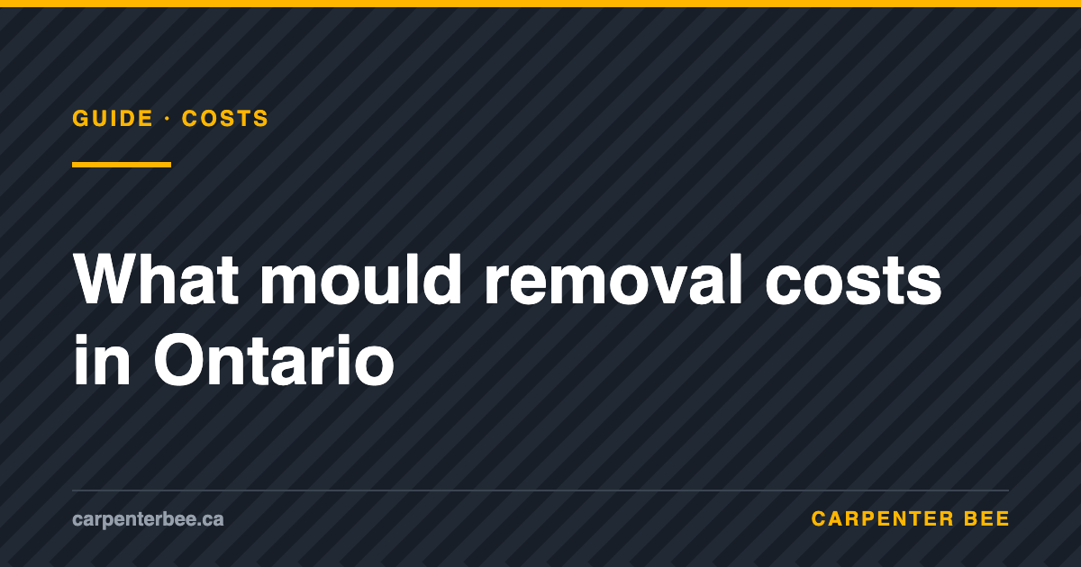 Carpenter Bee guide: mould removal cost in Ontario