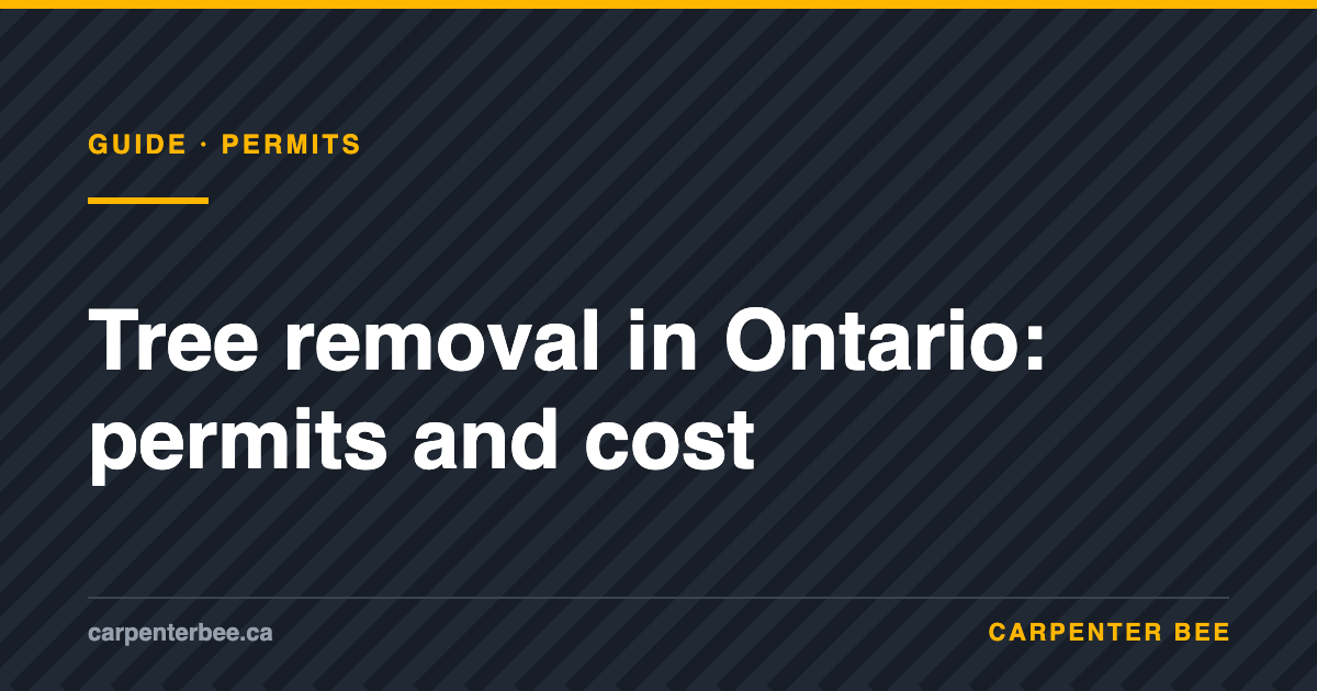 Carpenter Bee guide: tree removal permits and cost in Ontario